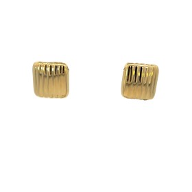 Orecchini Lobo Quadrati Argento Rigati