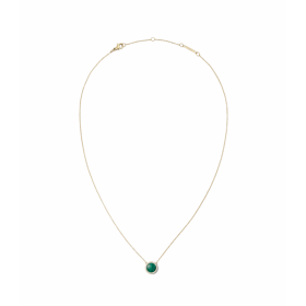 Collana Daniel Wellington Necklace Malachite Gold