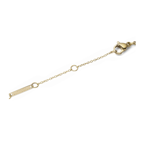 Collana Daniel Wellington Necklace Mother of Pearl Gold