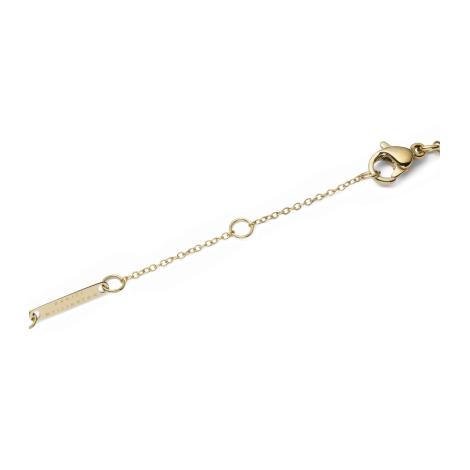 Collana Daniel Wellington Necklace Red Agathe Gold