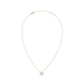 Collana Daniel Wellington Necklace Mother of Pearl Gold