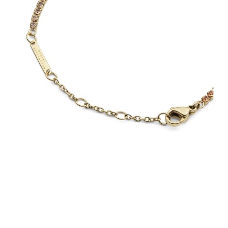 Bracciale Daniel Wellington Apricot Gold