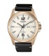 Orologio Vagary By Citizen G.Matic 101 IX3-025-10
