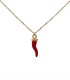 Collana Oro Giallo 9kt Cornetto