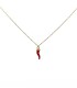Collana Oro Giallo 9kt Cornetto