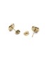 Orecchini Daniel Wellington Audrey Earrings Red Agathe Gold