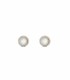 Orecchini Daniel Wellington Audrey Earrings Mother of Pearl Gold
