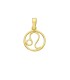 Ciondolo Segno Zodiacale Leone Oro Giallo 18kt