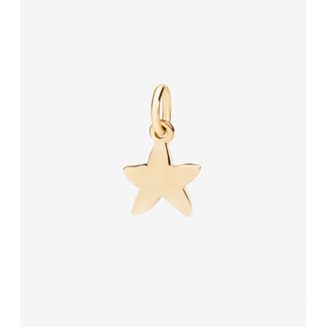 Charm Dodo Stellina Oro Giallo 18kt