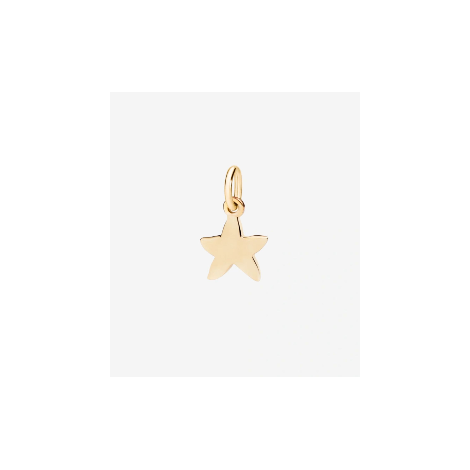 Charm Dodo Stellina Oro Giallo 18kt