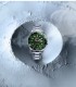 Orologio Sector 230 Verde R3253161059