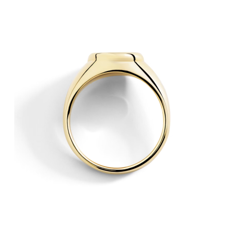 Anello Dodo Sigillo Oro Giallo e Diamante