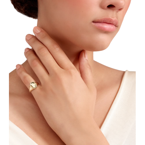 Anello Dodo Sigillo Oro Giallo e Diamante