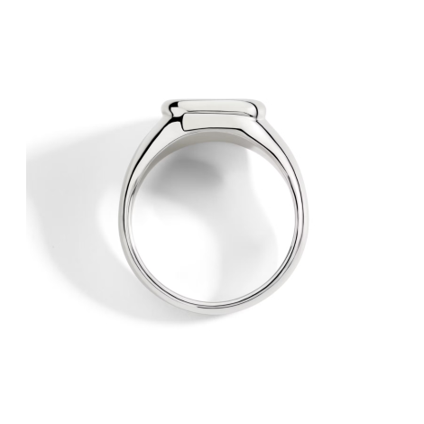 Anello Dodo Sigillo Argento e Diamante