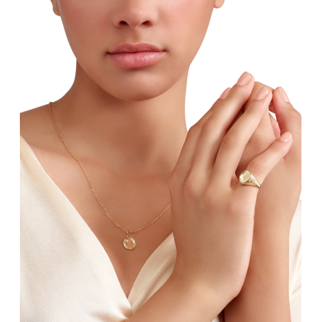 Ciondolo Dodo Sigillo Oro Giallo 9kt e Diamante