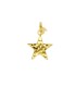 Ciondolo Stella Lavorata Oro Giallo 9Kt
