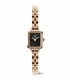 Orologio Daniel Wellington Quadro Mini Arch 3-link Onyx Sunray Rose Gold DW00100848