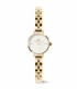 Orologio Daniel Wellington Petite Mini Arch 3-Link White Gold DW00100855