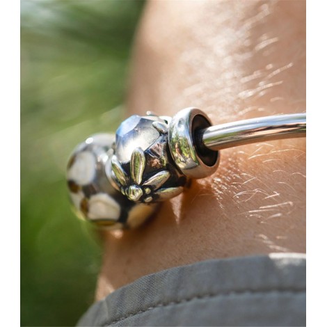 Beads Trollbeads Edelweiss People's Bead 2025