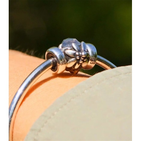 Beads Trollbeads Edelweiss People's Bead 2025