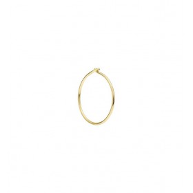 Orecchino a Cerchio Piccolo Dodo DORP/1/H/K