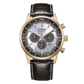 Orologio Citizen Uomo Of Collection Aviator Grigio CA4723-03A