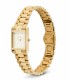 Orologio Daniel Wellington Bound Mini 3-Link Gold