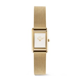Orologio Daniel Wellington Bound Mini Evergold