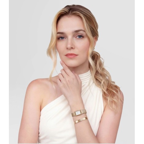 Orologio Daniel Wellington Bound Mini Evergold