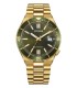 Orologio Citizen Tsuyosa Shore Automatic Verde Gold NJ0232-53X