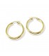 Orecchini a Cerchio 3cm Donna Raggi Argento 925 Dorato RA/005085