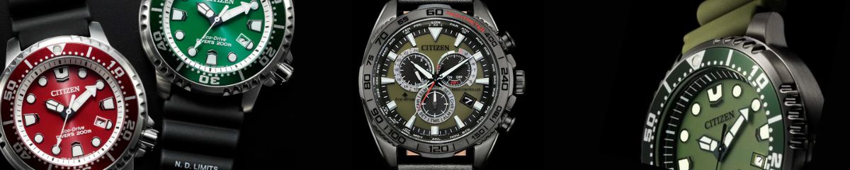 Citizen Promaster, Promaster Citizen, Citizen Promaster Eco Drive, Orologio Citizen Promaster , Citizen Promaster Aqualand, Citizen Promaster Eco-Drive